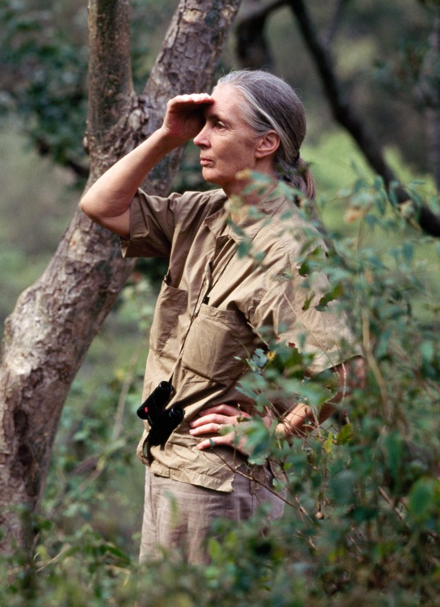 Jane Goodall in the forest. Photo by Michael Nichols, National Geographic.